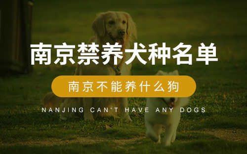 南京江北新区禁养犬种(南京禁养犬种名单(30种))