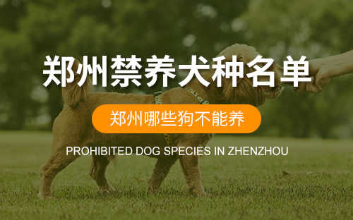 郑州市禁养犬只图例(城市禁养犬种2020郑州)