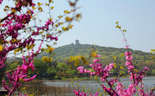 无锡古村落风景区(无锡周边乡村游哪里好)