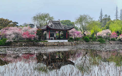 无锡市区旅游必去十大景点(无锡比较出名的景点)