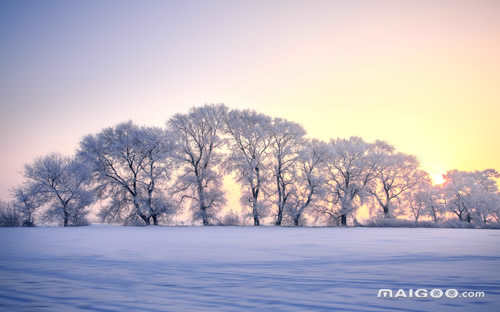 长沙附近哪里可以看雪(长沙玩雪的地方有哪些)