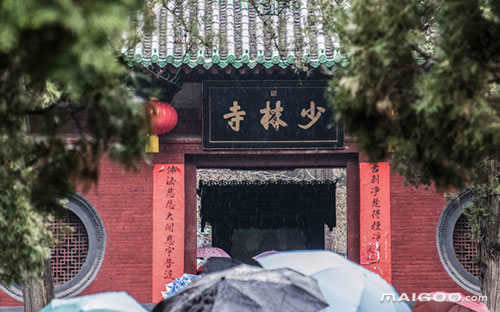 郑州十大外地人必去的景点有哪些(外地人到郑州值得游玩的地方)