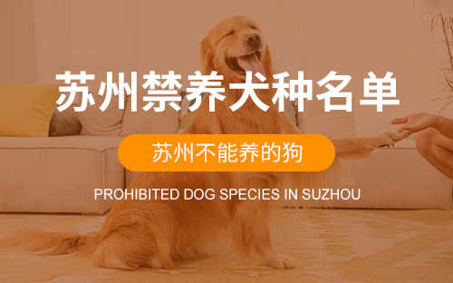 苏州烈性犬只品种目录(苏州哪些犬禁养)