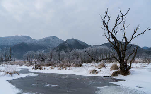 湖北十大最适合看雪的地方排名(湖北十大最适合看雪的地方有哪些)