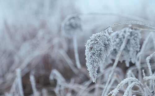 沈阳看雪景的好地方(沈阳周边玩雪的地方)