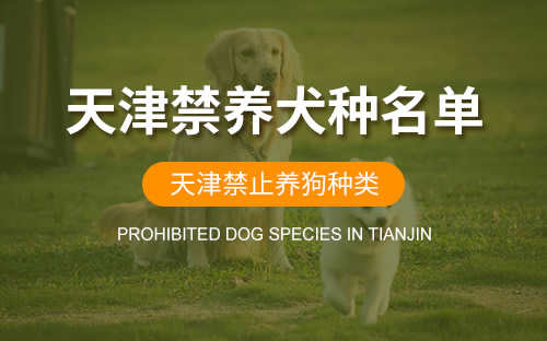 天津哪些犬属于禁养犬(天津市区禁养犬种目录)