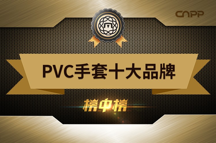 2023年PVC手套十大品牌前十强